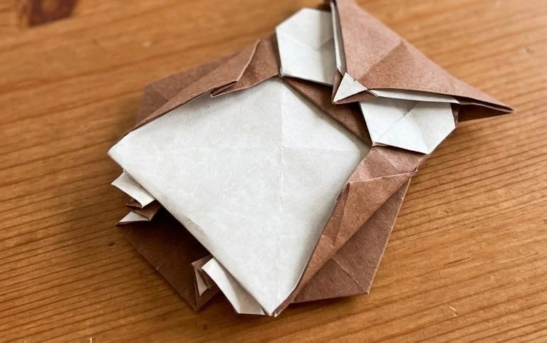 Origami Owl: Step-by-Step Instructions